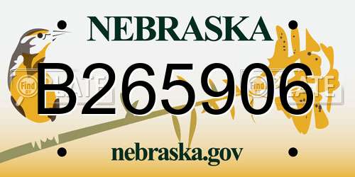B265906 Nebraska License Plate