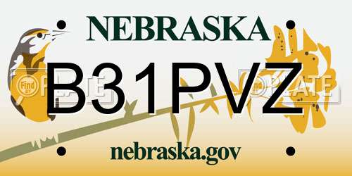 B31PVZ Nebraska License Plate