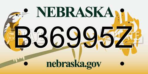 B36995Z Nebraska License Plate