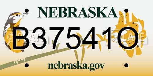 B37541O Nebraska License Plate