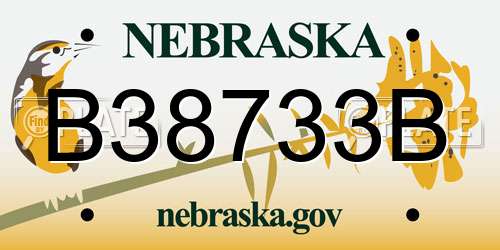 B38733B Nebraska License Plate