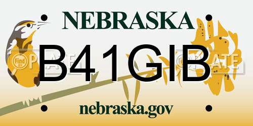 B41GIB Nebraska License Plate