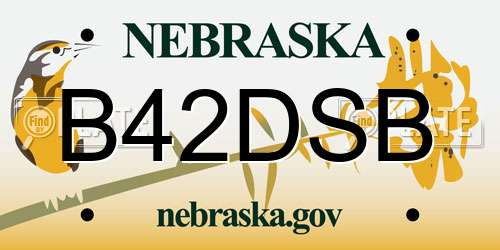 B42DSB Nebraska License Plate