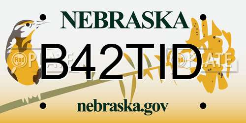 B42TID Nebraska License Plate