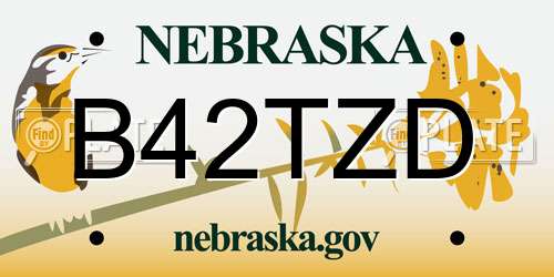 B42TZD Nebraska License Plate