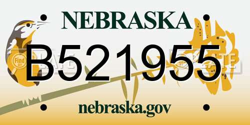 B521955 Nebraska License Plate