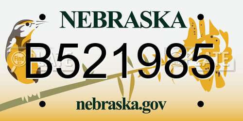 B521985 Nebraska License Plate