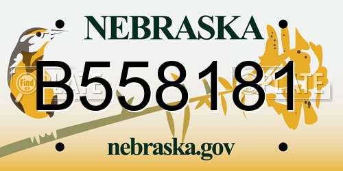 B558181 Nebraska License Plate