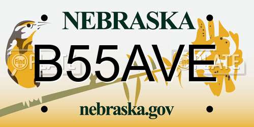 B55AVE Nebraska License Plate