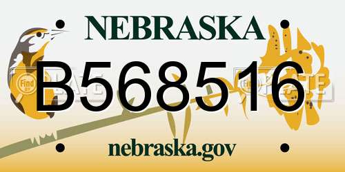 B568516 Nebraska License Plate
