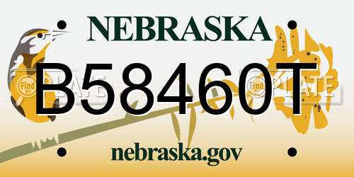 B58460T Nebraska License Plate
