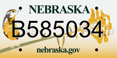 B585034 Nebraska License Plate