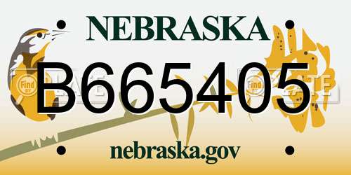 B665405 Nebraska License Plate