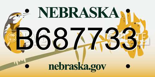 B687733 Nebraska License Plate