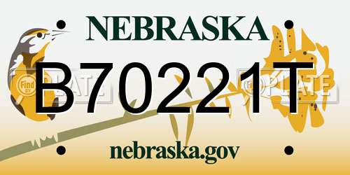 B70221T Nebraska License Plate