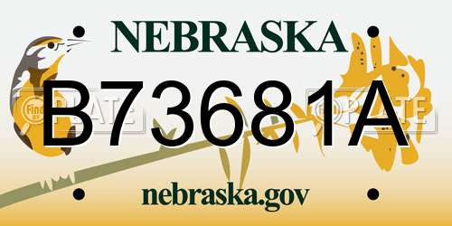 B73681A Nebraska License Plate