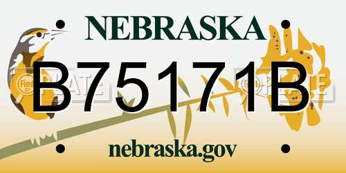 B75171B Nebraska License Plate