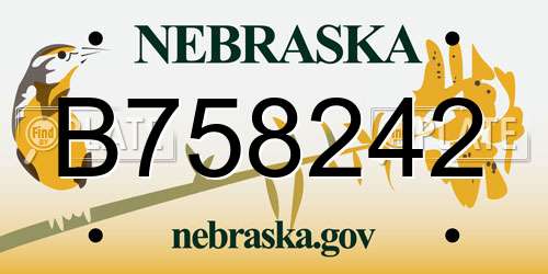 B758242 Nebraska License Plate