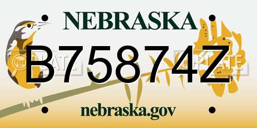 B75874Z Nebraska License Plate