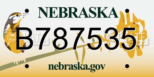 B787535 Nebraska License Plate