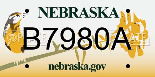 B7980A Nebraska License Plate