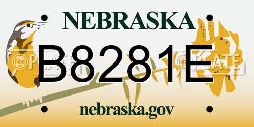 B8281E Nebraska License Plate