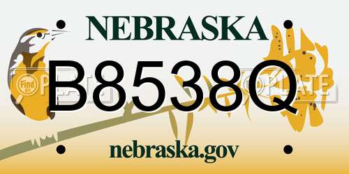 B8538Q Nebraska License Plate