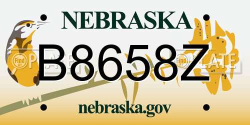 B8658Z Nebraska License Plate