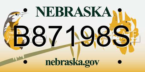 B87198S Nebraska License Plate