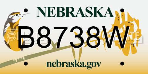 B8738W Nebraska License Plate