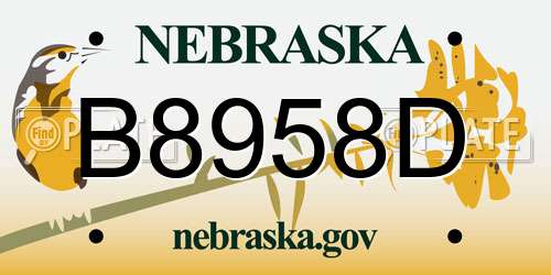 B8958D Nebraska License Plate