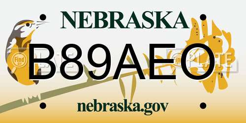B89AEO Nebraska License Plate