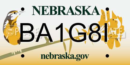 BA1G8I Nebraska License Plate