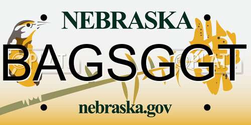BAGSGGT Nebraska License Plate