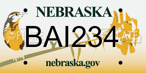 BAI234 Nebraska License Plate