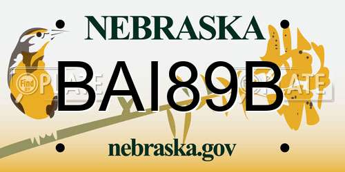 BAI89B Nebraska License Plate