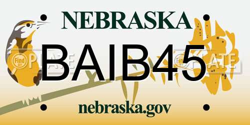BAIB45 Nebraska License Plate