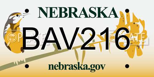 BAV216 Nebraska License Plate