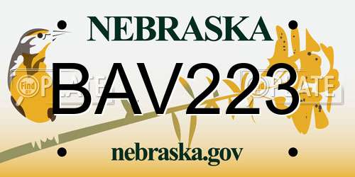 BAV223 Nebraska License Plate
