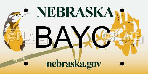BAYC Nebraska License Plate