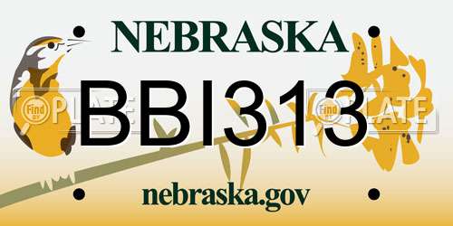 BBI313 Nebraska License Plate