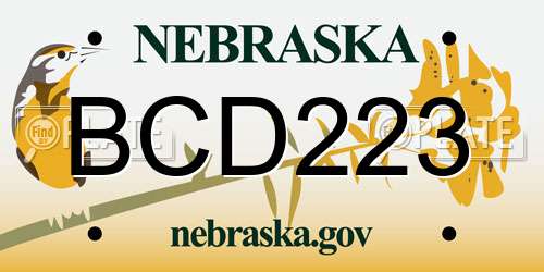 BCD223 Nebraska License Plate
