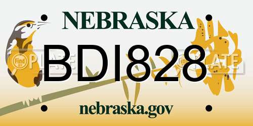 BDI828 Nebraska License Plate