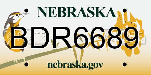 BDR6689 Nebraska License Plate