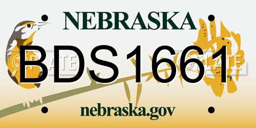 BDS1661 Nebraska License Plate