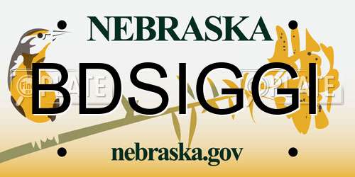 BDSIGGI Nebraska License Plate