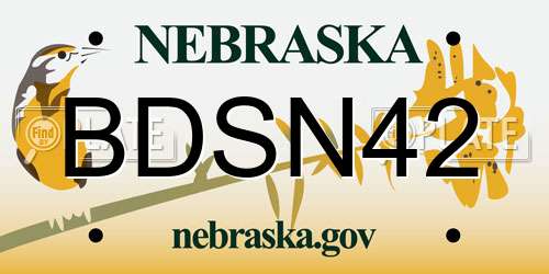 BDSN42 Nebraska License Plate
