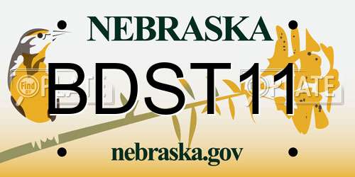 BDST11 Nebraska License Plate