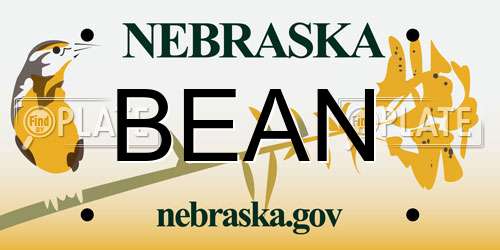 BEAN Nebraska License Plate