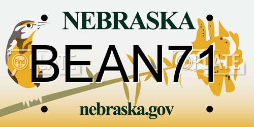 BEAN71 Nebraska License Plate